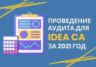 Conducting an audit for IDEA CA - for 2021