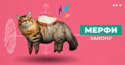 Мерфи закону