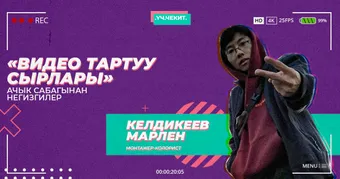 Видео тартуу сырлары